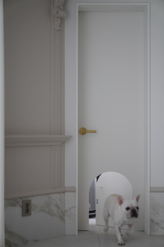 /user/p/platdesign/editor/2502/705b7a1785dba3ee72043a3faf6f0fc4_1739974309_2173.JPG 이미지크게보기